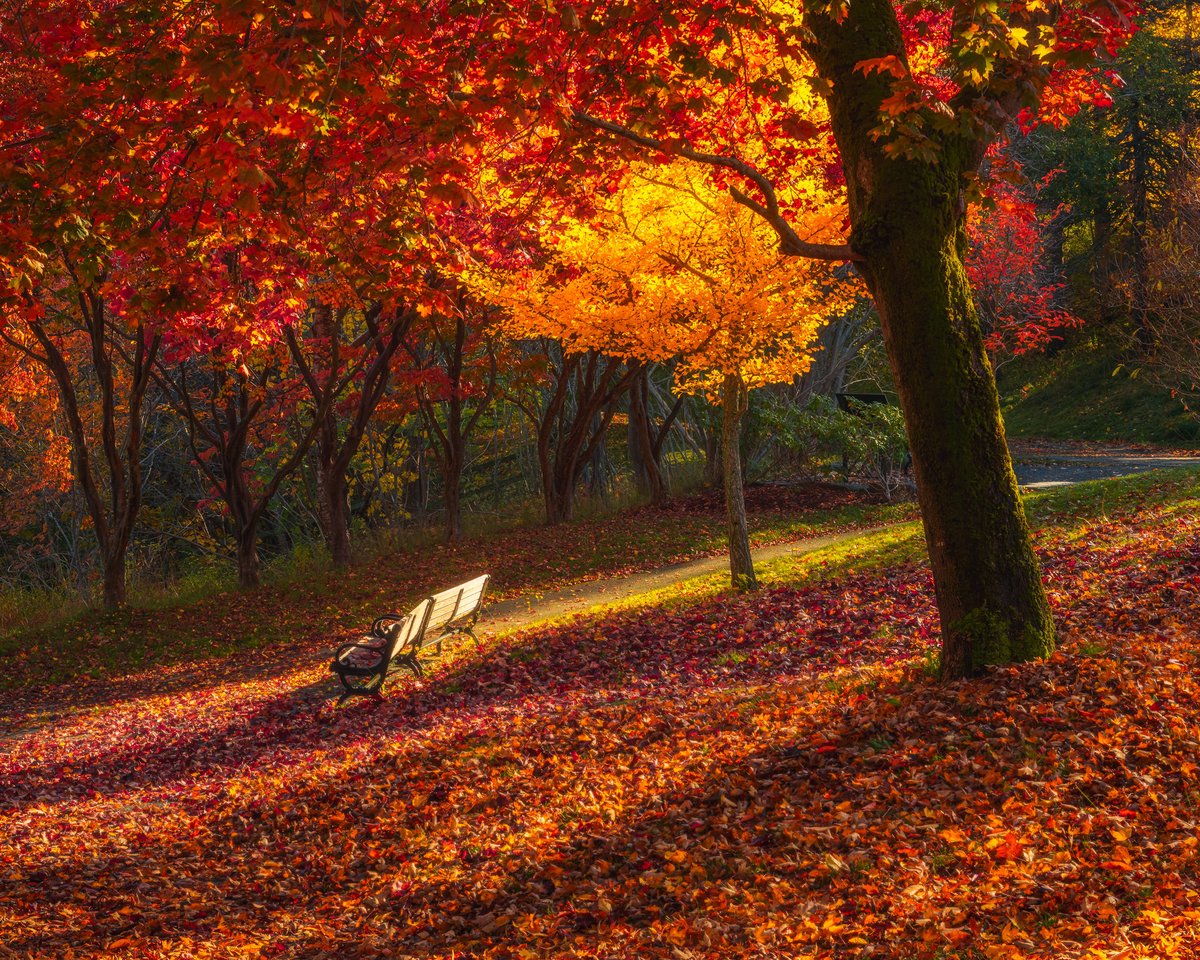 Gord Follett Photography tweet media