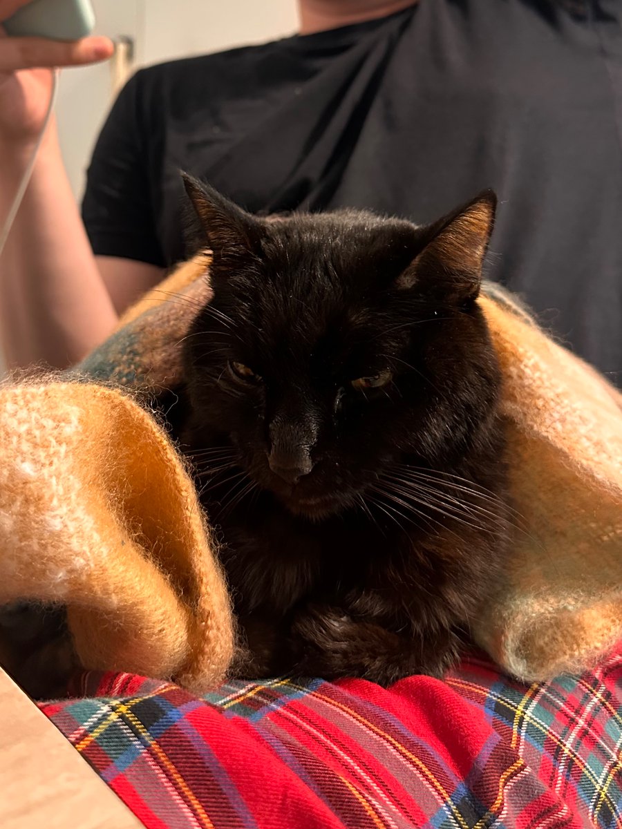 По дороге домой обоссала и обдристала меня умничка такая