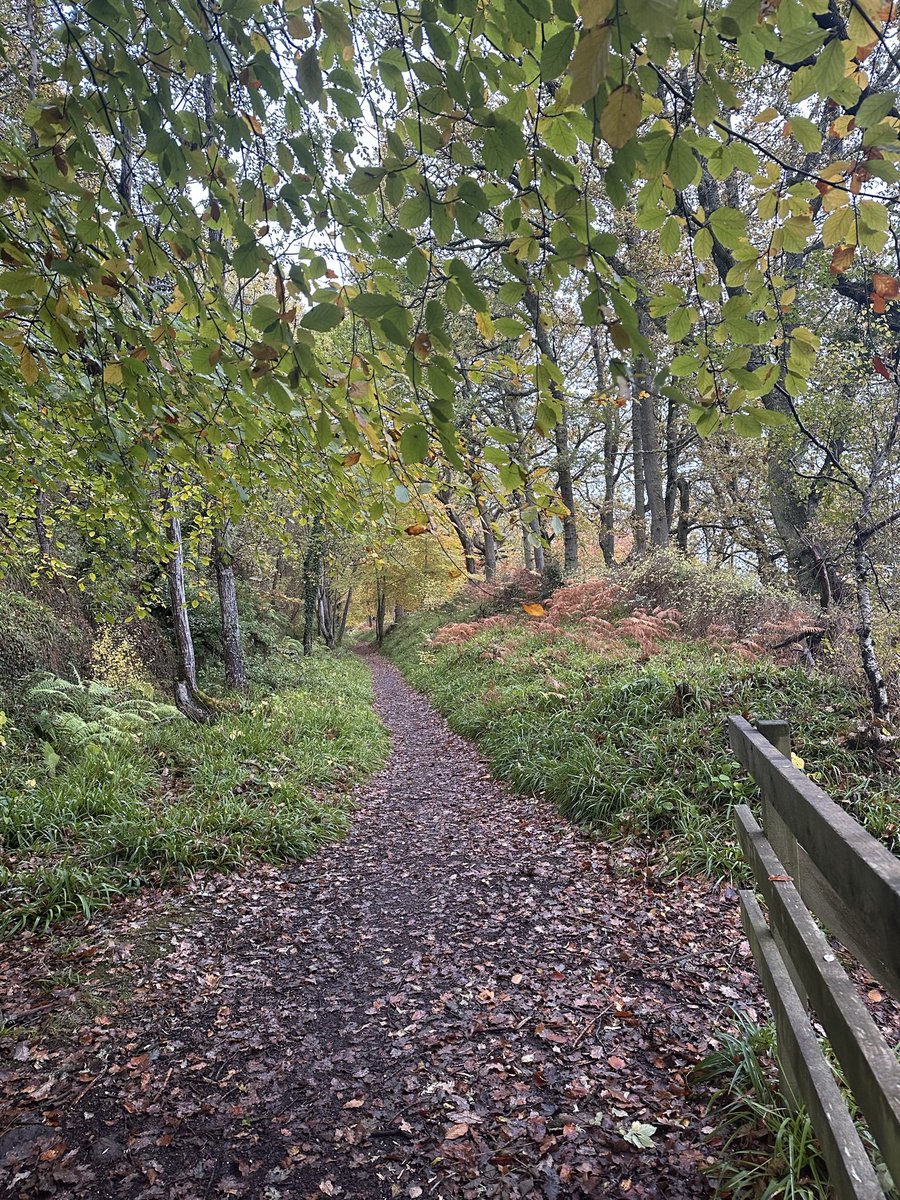 Delighted to see @lymeresourcecentre signs going up locally and, believe it or not, it wasn’t even who put it up 😂 #lymedisease #lymewarrior #lyme #chronicpain #doglife #doglifestyle #cavapoos #cavapoodle #woodland #woodlovers #woodlife #wildlife #wildanimals 
#countryliving