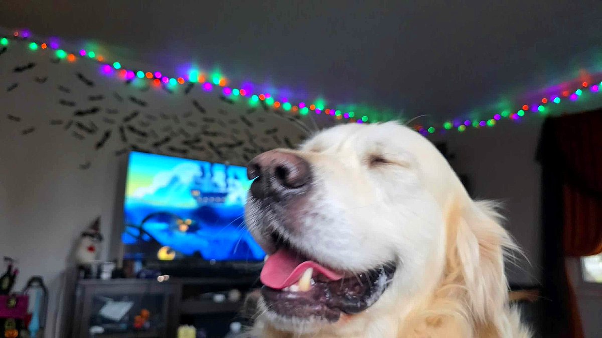 TheShipArchitect tweet media