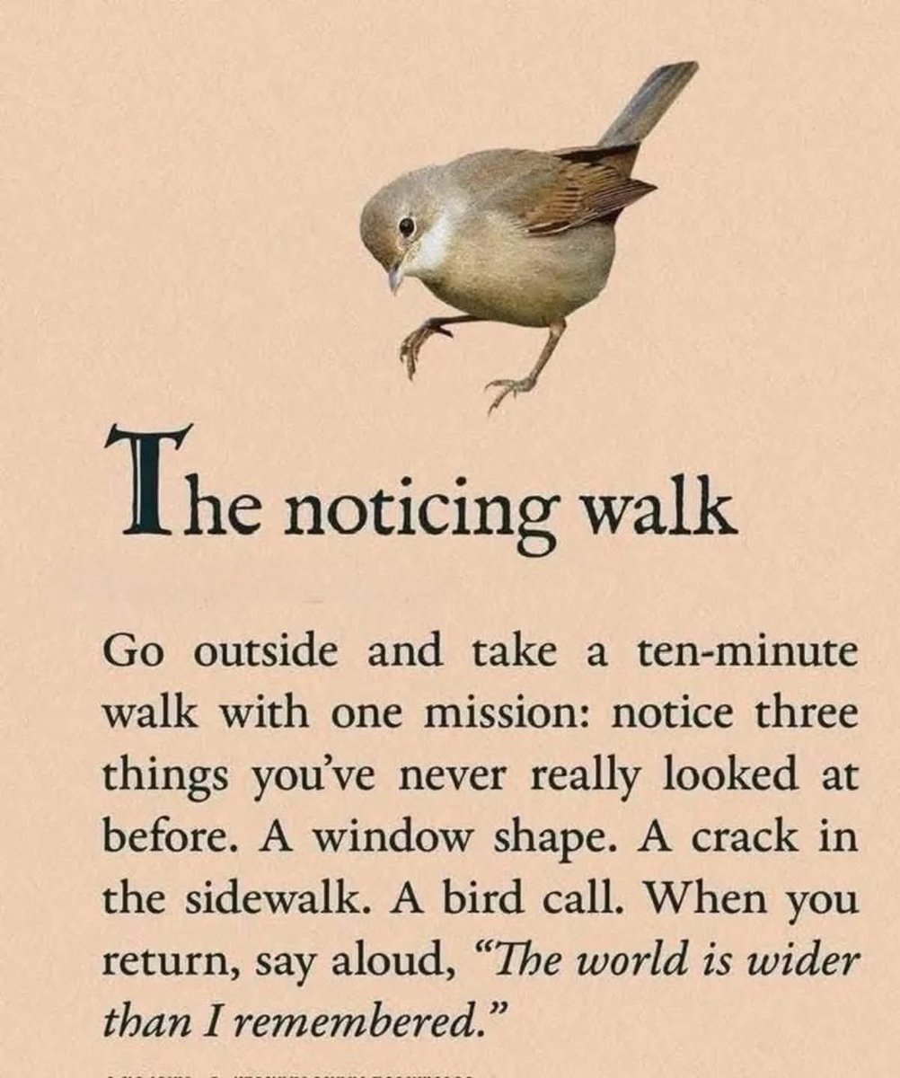 It’s time to notice 😌