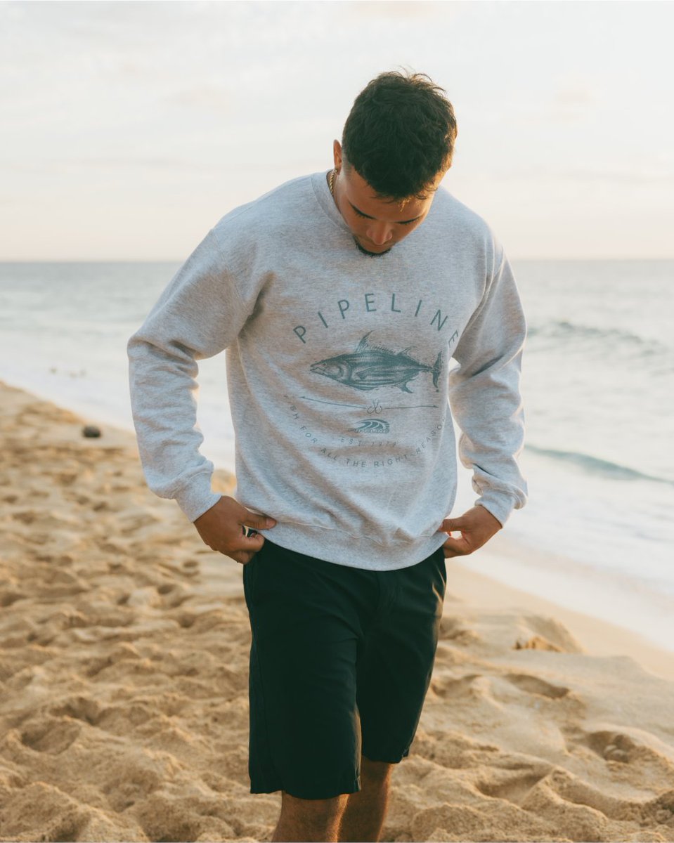 pipelinegear's tweet image. Pipeline comfort, sunrise approved. Shop this sweatshirt at pipelinegear.com and get FREE ship in USA on all online orders. #pipelinegear #pipeline #surf #beach #sea #ocean #oceanvibes #surfculture #ridethewave #coastalstyle #livetosurf #sealife