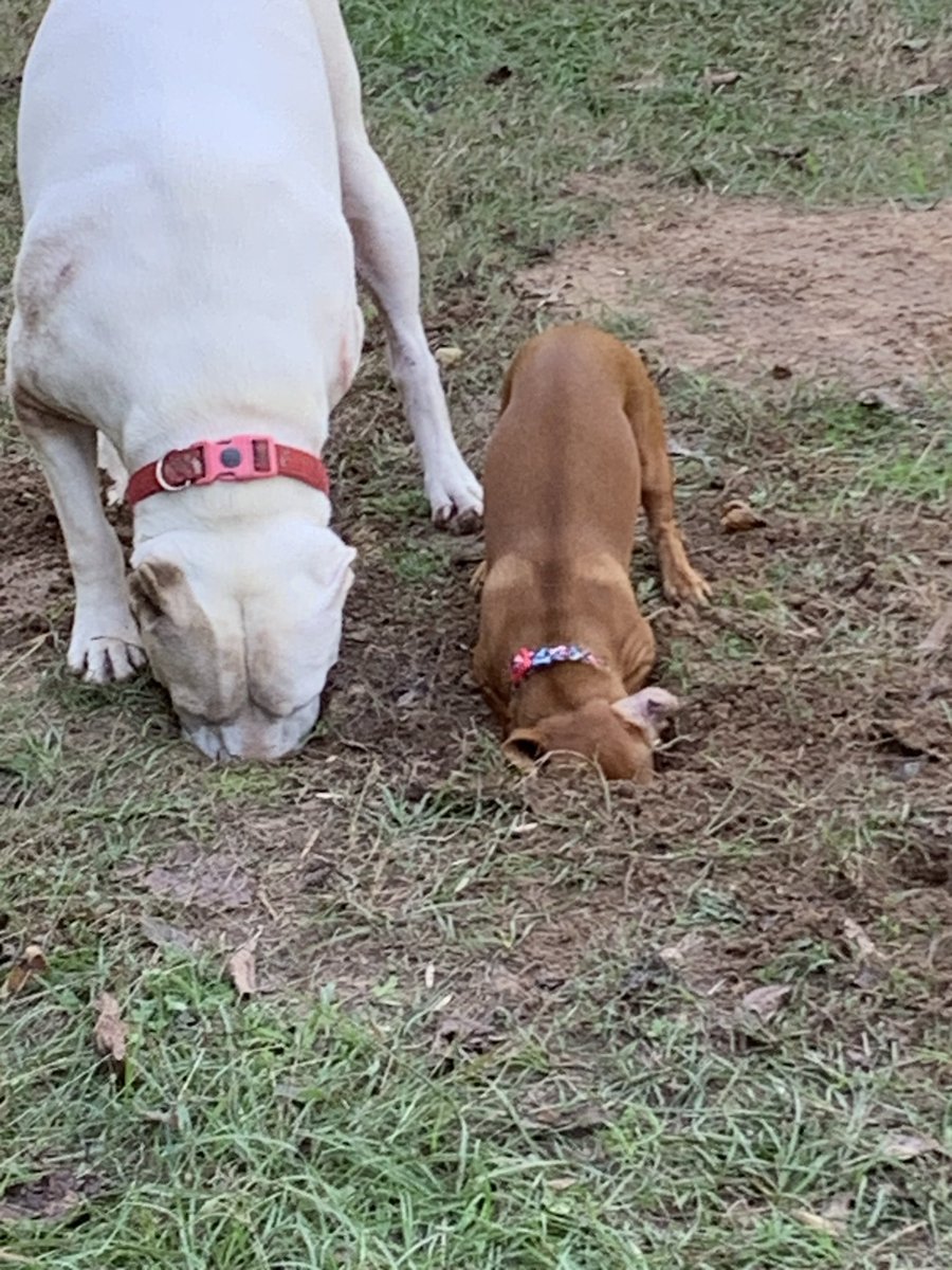 Moles??? What moles?