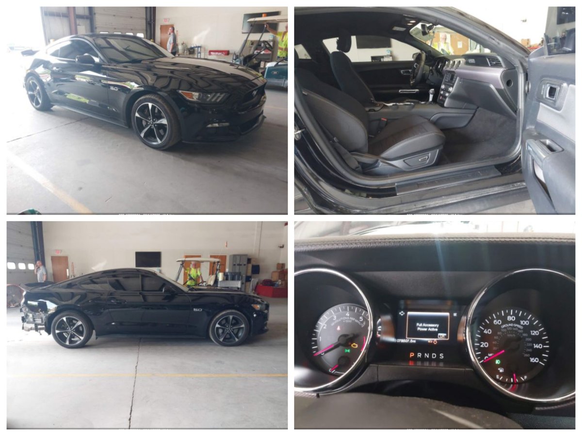 auctionexport's tweet photo. 2016 #FORD #MUSTANG GT
Lot #: 213989342
Car can be purchased at a Live Auction on Nov 03
Place your Bid Now
🔗https://t.co/NAgnKokMGQ
📞Contact us for assistance: help@auctionexport.com or 1-416-900-33-03
#AuctionExport #ExportCars #makemodel #buyincanada #buyinusa #canada https://t.co/oMkUTmR0fi