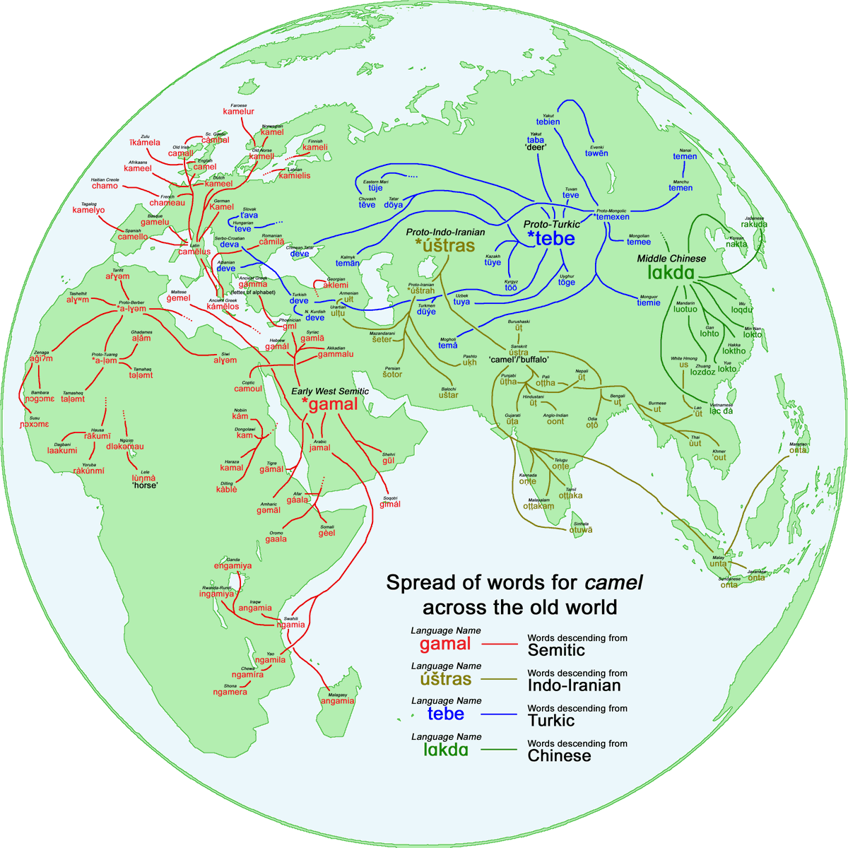 spread of the words for camel across the old world