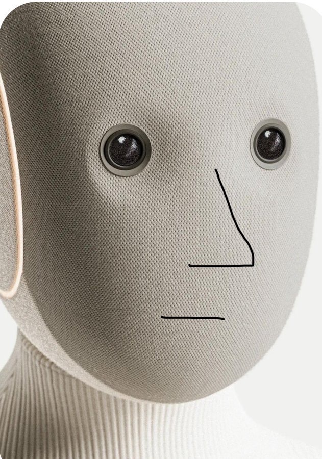 Dan16676935420's tweet image. the first thing I’d do if I got a NEO robot