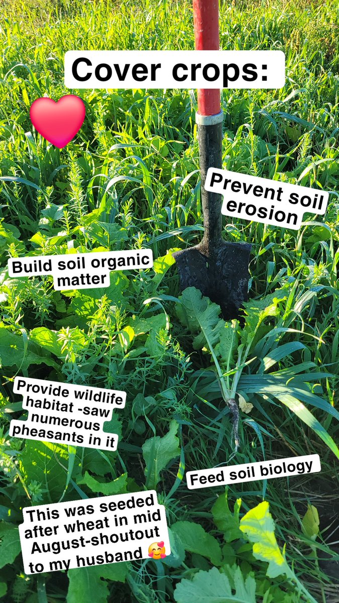 kati_roth's tweet photo. #SoilHealth https://t.co/KcmRIrlej0