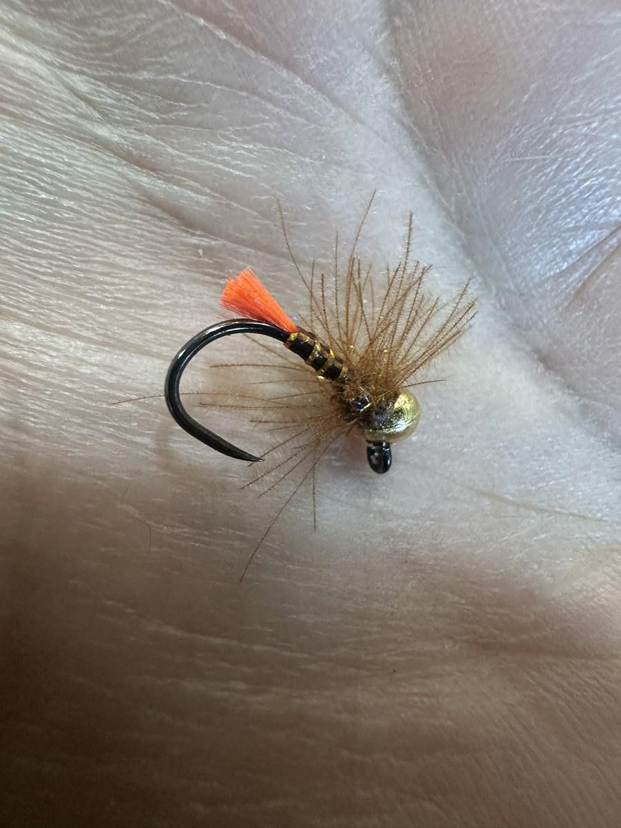 Tying some flies. Just playing around with some new materials. Troutline CDC, Spectra Copper Dubbing, Copper Sulky Tinsel. Glo-Brite 4 for the tail.