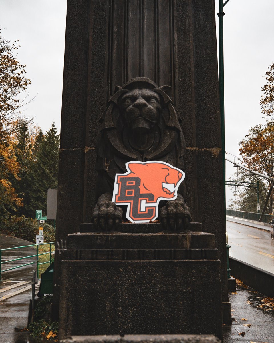 BC LIONS tweet media