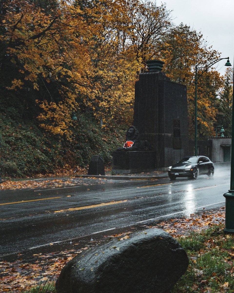 BC LIONS tweet media
