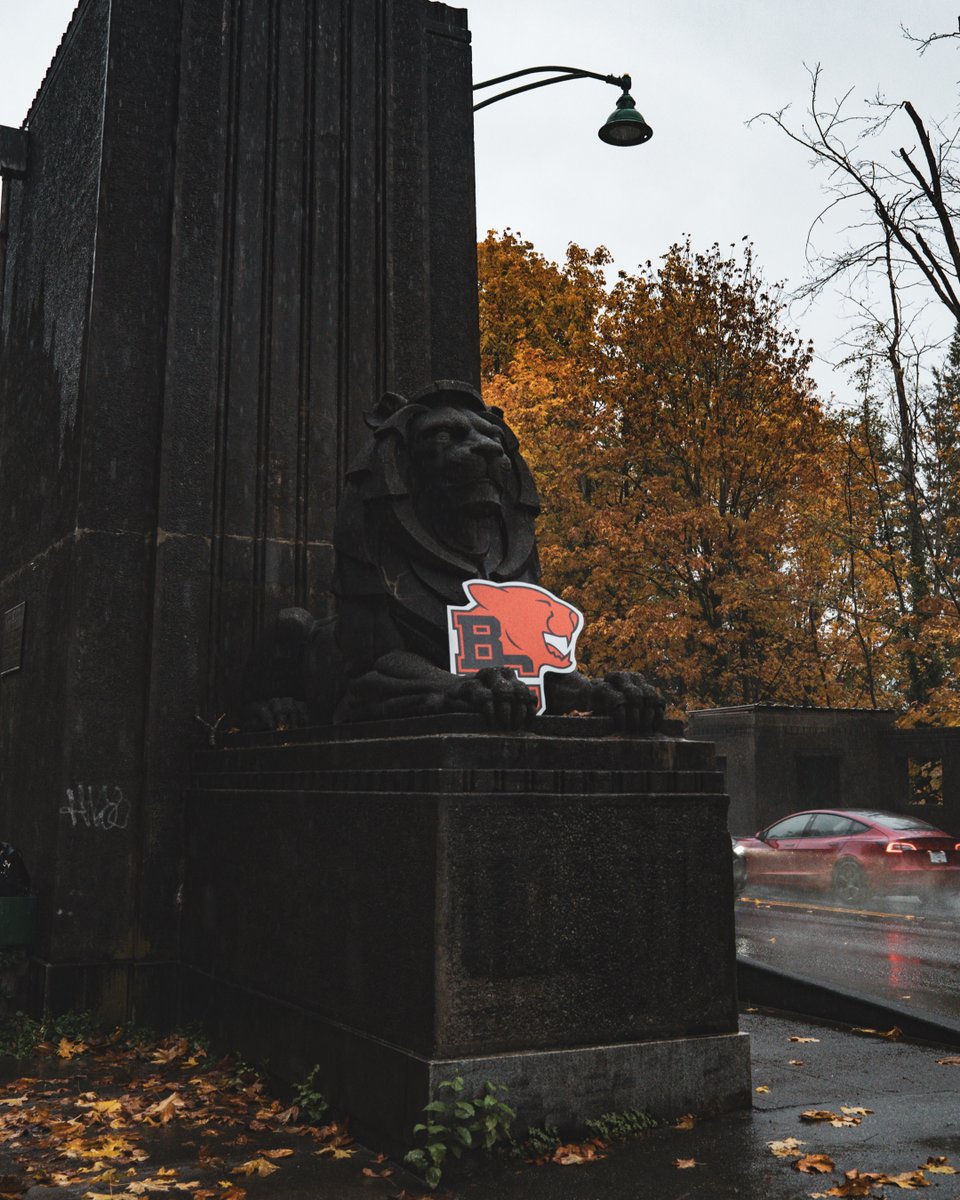 BC LIONS tweet media