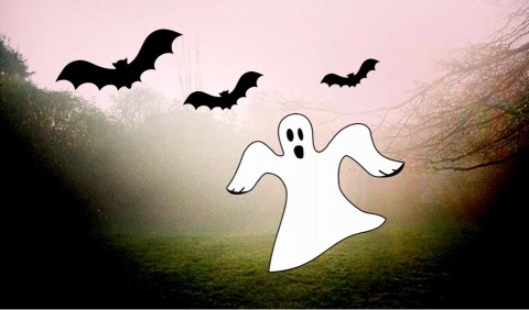 StephensHouse&Garden (@stephenshouse) on Twitter photo Enjoy some spooky fun this Halloween, on the last day of half term, with our Spine Chilling Cellars and Garden Ghost Hunt! Start your hunt anytime on Friday 31 Oct between 13.00 - 15.30, closes at 16.00. Book tickets here tickettailor.com/events/stephen… Enjoy some spooky fun this Halloween, on the last day of half term, with our Spine Chilling Cellars and Garden Ghost Hunt! Start your hunt anytime on Friday 31 Oct between 13.00 - 15.30, closes at 16.00. Book tickets here tickettailor.com/events/stephen…