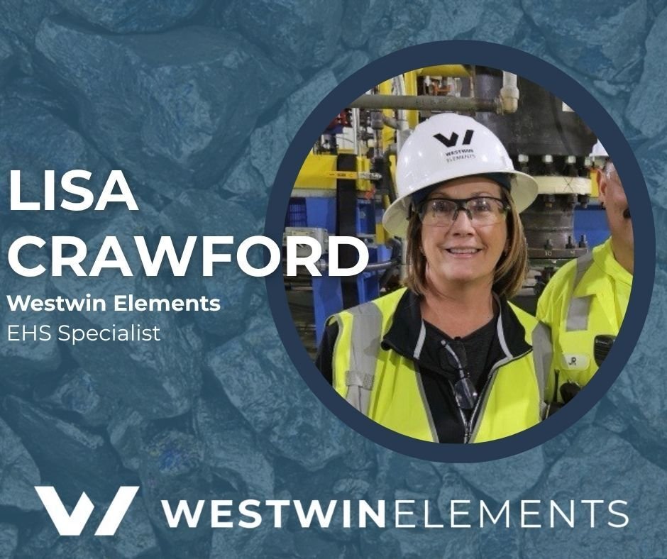 Westwin Elements tweet media