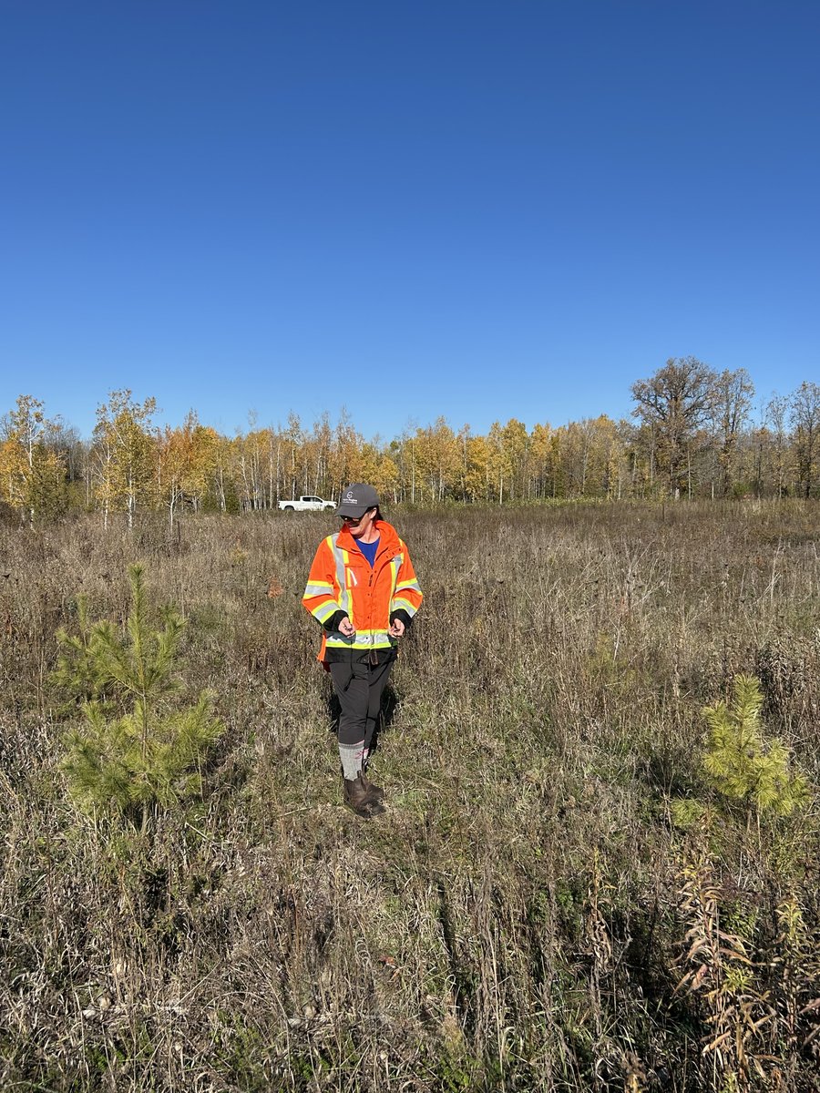 RRCA staff have been busy conducting survival assessments at planting sites to check in on young trees and see if any refill plantings are necessary. This is one of the last steps in our full-service tree planting program for landowners. Learn more: ow.ly/YsZl50Xk1m0