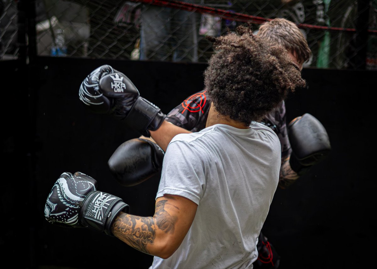 ✨Chandra🌙🌒 tweet media