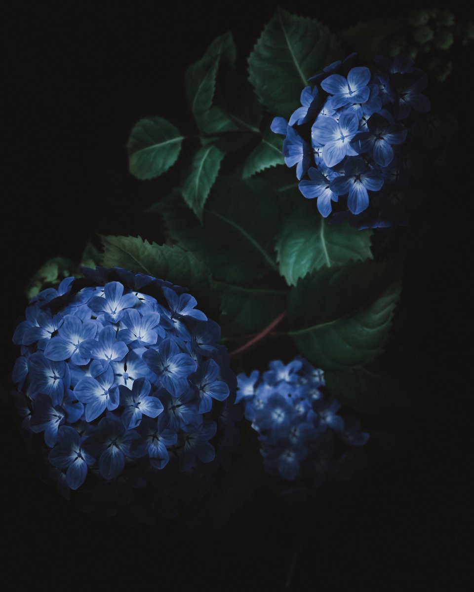 𝗘𝘃𝗲𝘆 tweet media