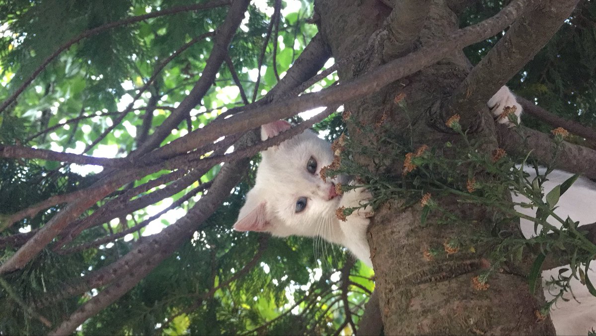 miss you every day🤍