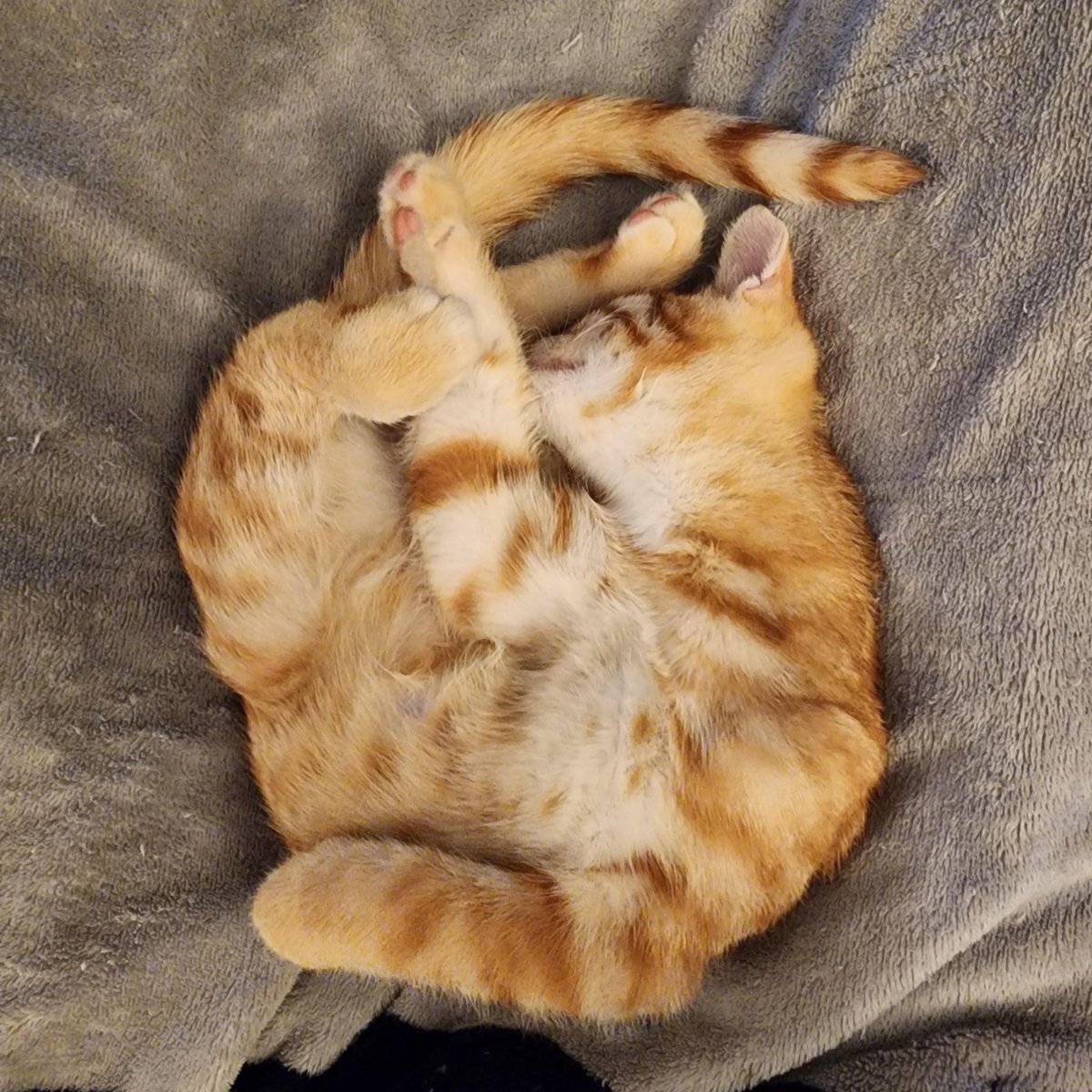 BezlikijChel123's tweet image. #memes #samepic #opm #OnePunchMan       #flashyflash