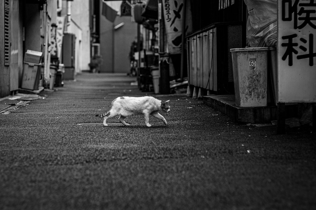おはよう木曜日