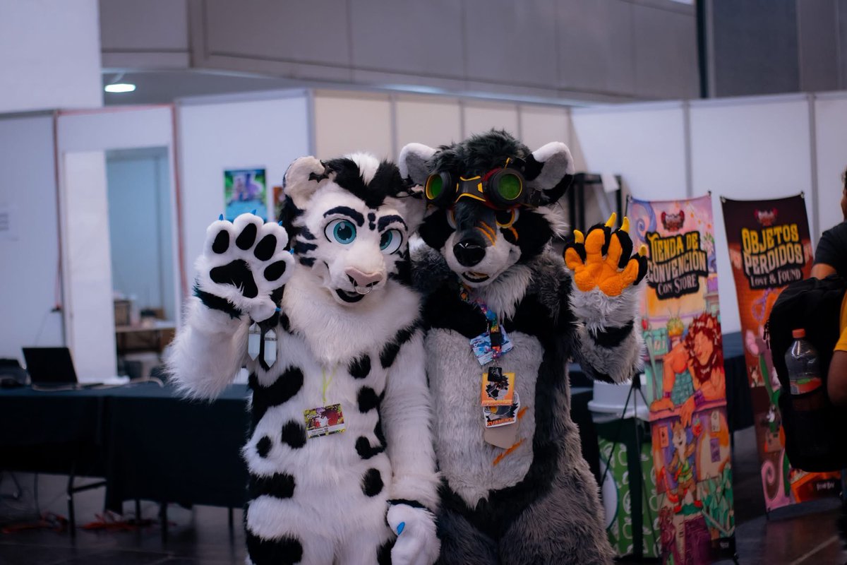 Shanukk🦝🇲🇽🔜 Confuror 2026 tweet media