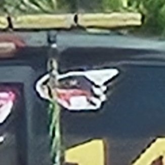 Aint no way dawg 😭