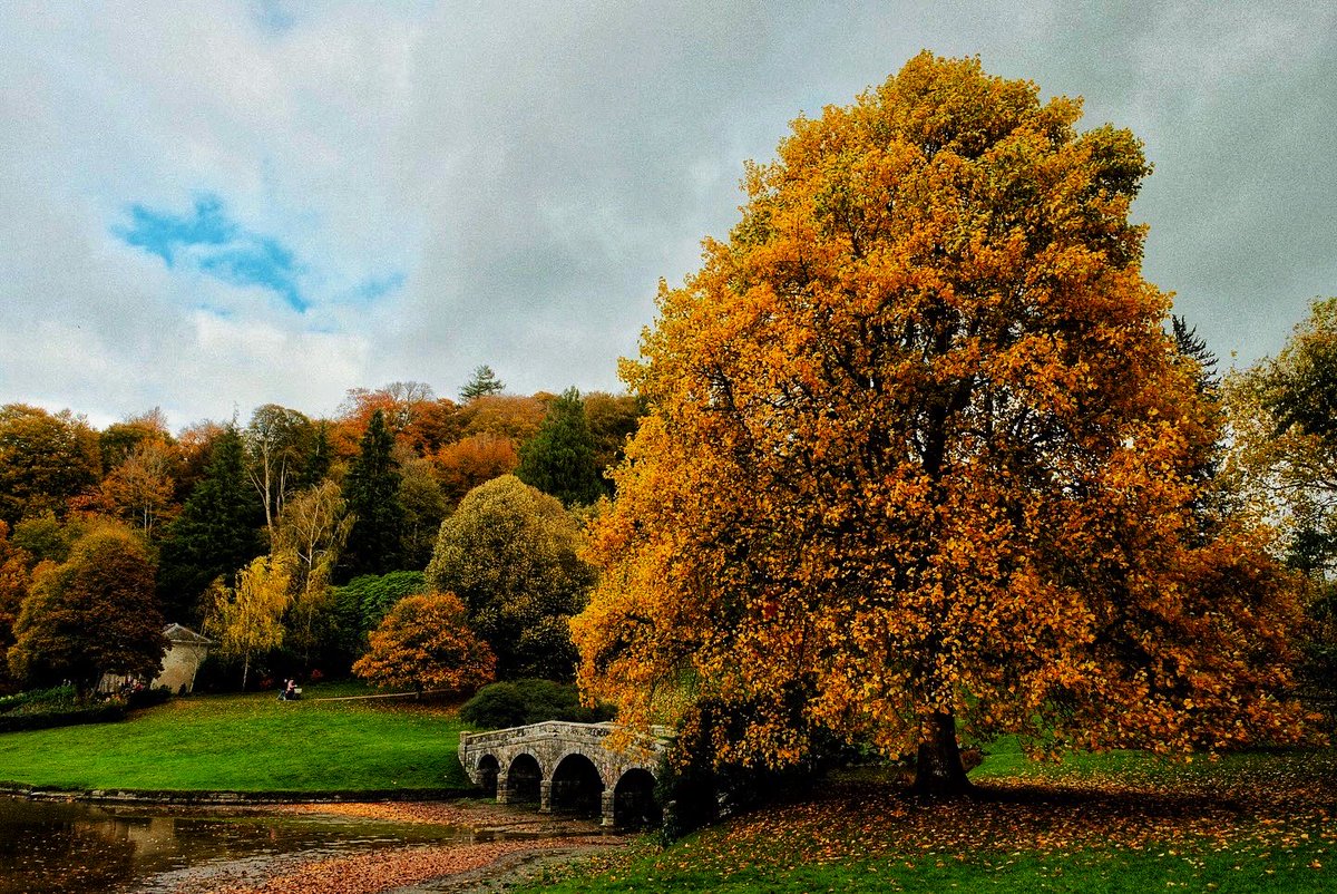 Paul Stewart (@pasimages) on Twitter photo 