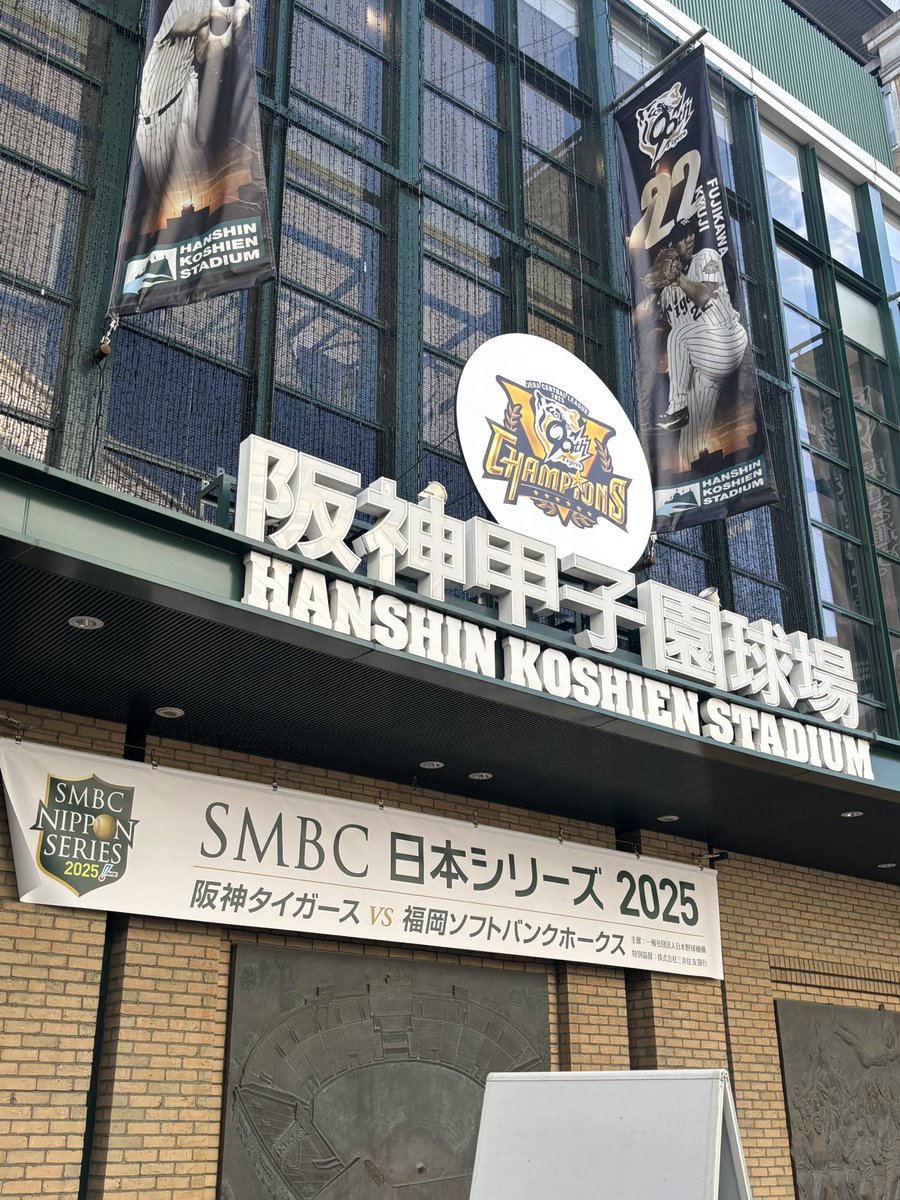 あ*お様 Bayou 91gkxKhBxXL._AC_UF350,