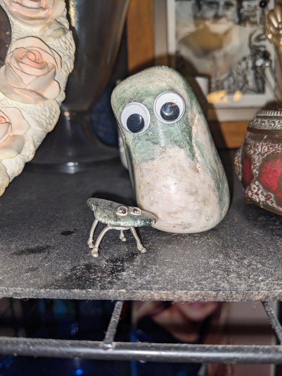 NatalieBinger's tweet photo. Got given a big rock today. I made my mum's #petrock a big old friend. https://t.co/cTZSpxqCGf