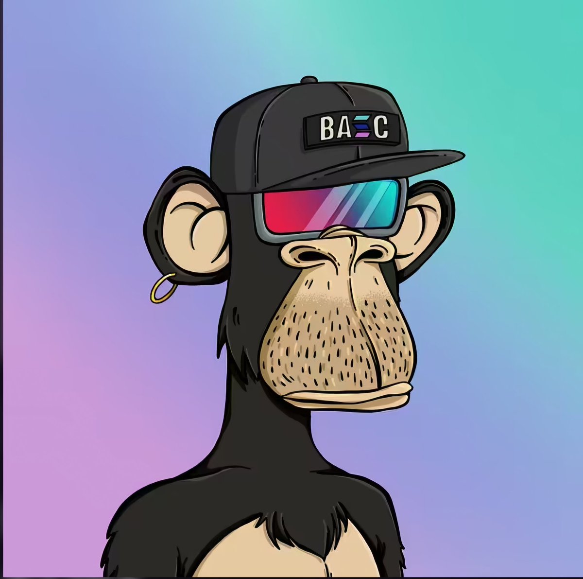 A beautiful collection, just the way I like it <a href="/BoredApeSolClub/">Bored Ape Solana Club</a> 
Post yours in the comments! 🔥