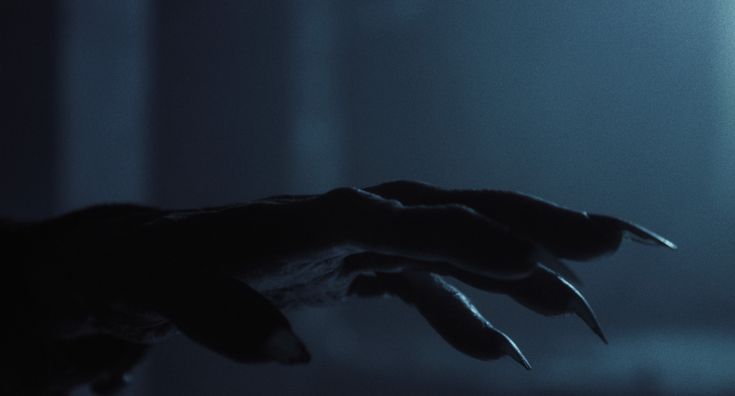 AcademiaDreams's tweet photo. Nosferatu (2024) https://t.co/OPM5QlSQan