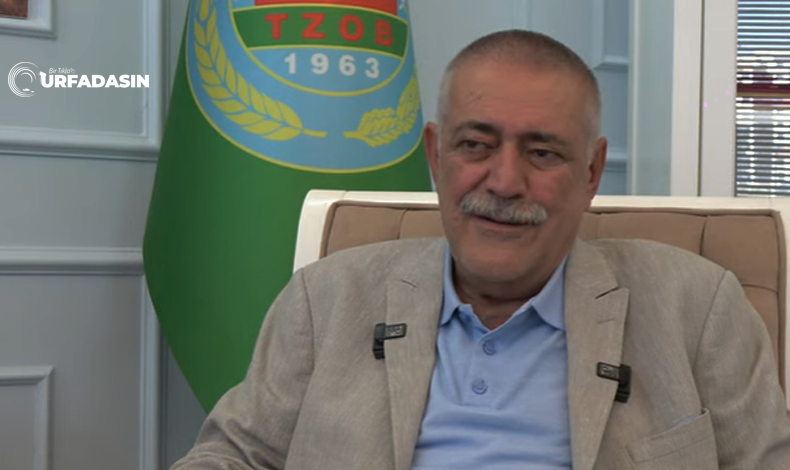urfadasin's tweet photo. Ahmet Ersin Bucak; Siverek'te Dekar Başına Alınan Pirinç, Dünya Ortalamasının Üstünde https://t.co/dVZHt8DuBf
#Urfa #siverek #karacadag #pirinc #celtik @AhmetErsin https://t.co/pCQQuDUwRg