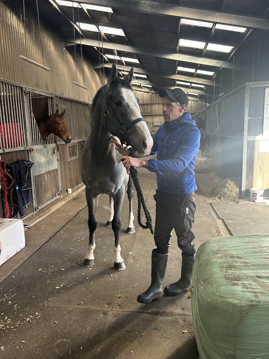 A great trip to the <a href="/jardineracing/">Iain Jardine Racing</a> stable on the way back from Tattersalls sales to see our new boy IBN ALTHEEB. The trainer likes him a lot and he should improve a lot next season! 

Book your share  - LBLhorses@gmail.com.  Website - letsbeluckyracing.com/horses-for-sale.