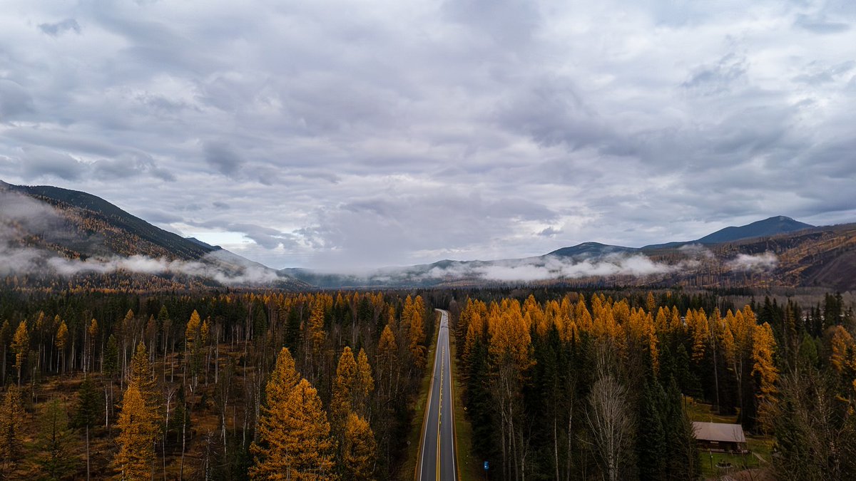 Discover Kalispell tweet media