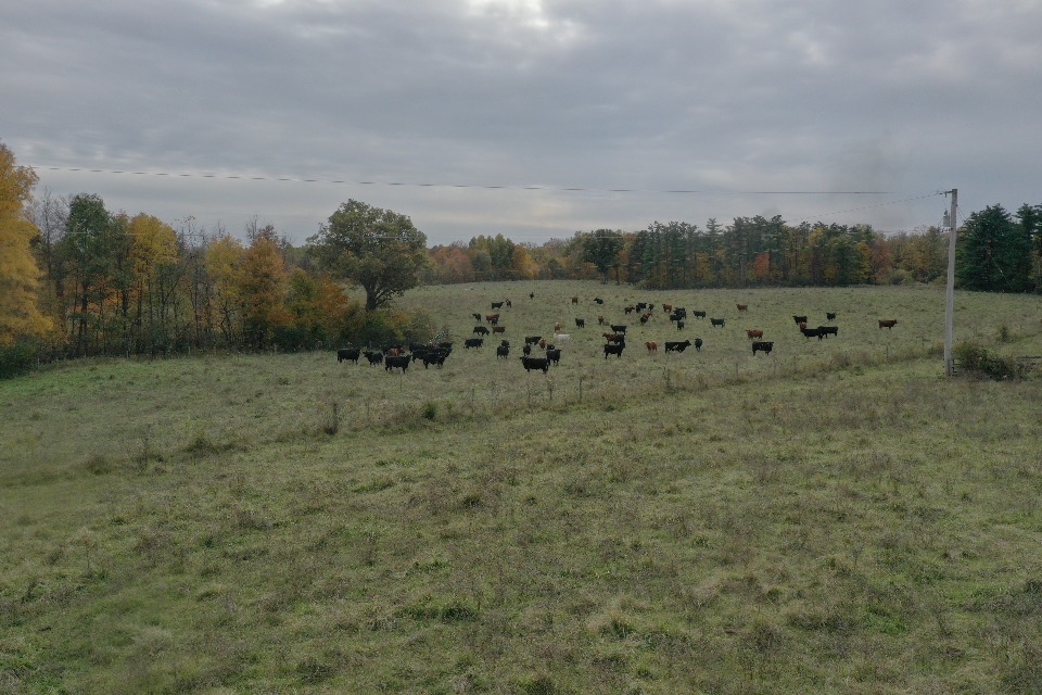 While politicians cut deals for Argentine beef, U.S. ranchers are out here trying to feed America.

The #MotorcadeforTrade rolled into Ohio last week to visit <a href="/ChrisRGibbs/">Christopher Gibbs</a> on his farm and hear firsthand what real trade policies should look like for our American farmers.