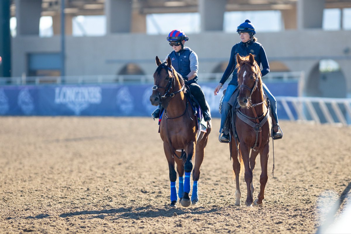 Herringswell Stables tweet media