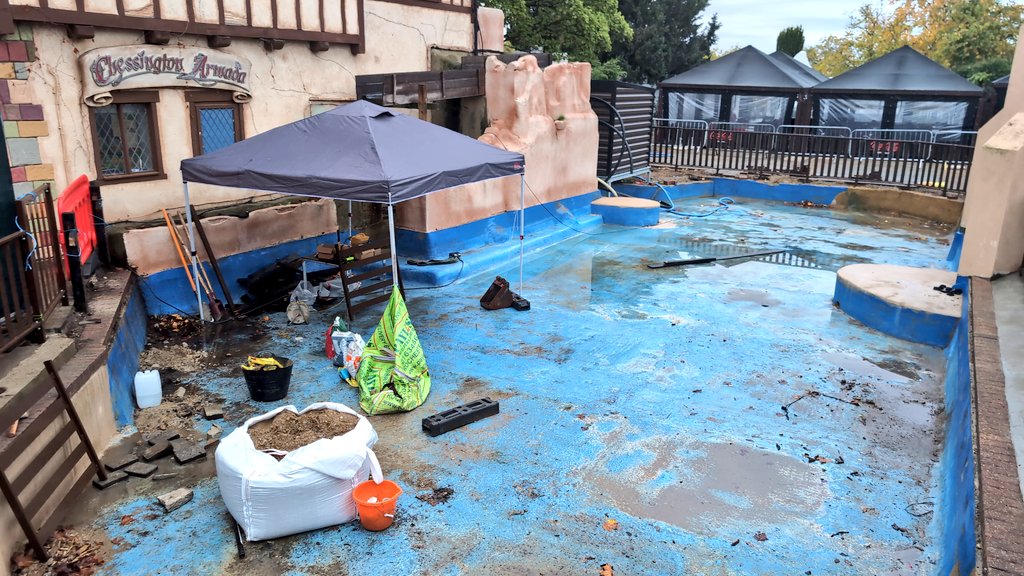 Chessington Buzz tweet media