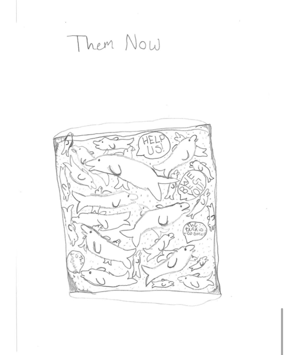 RFriend_Class's tweet image. My 4th graders wrote letters to Premier Doug Ford to help save the 30 remaining belugas at Marineland in Ontario, Canada❤️🐳 @MoveTheWorld @Whale_Sanctuary @bayviewglenps1