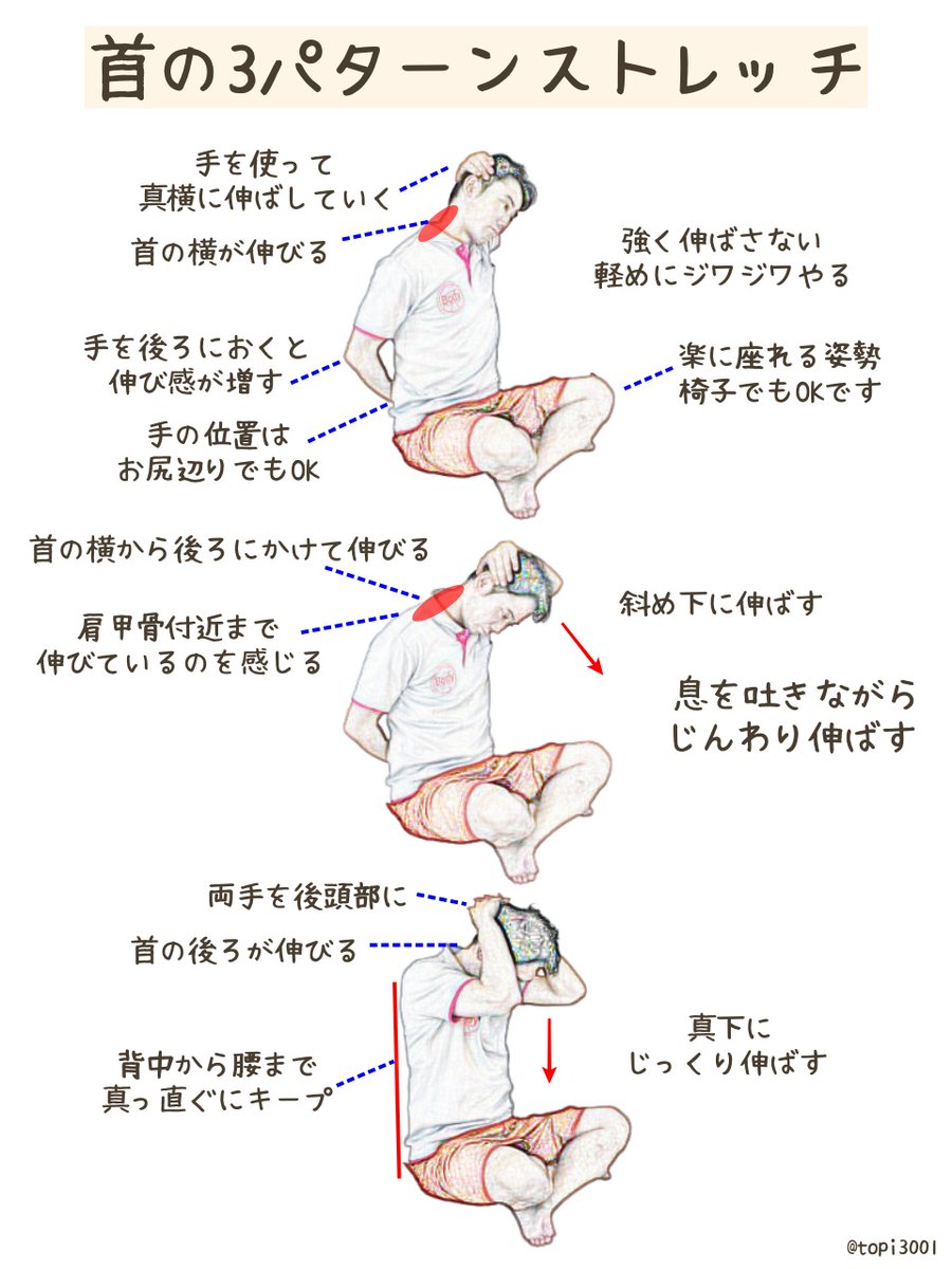 マジで重要なので3回言わせてください！

首のばして！
首のばして！
首のばして！