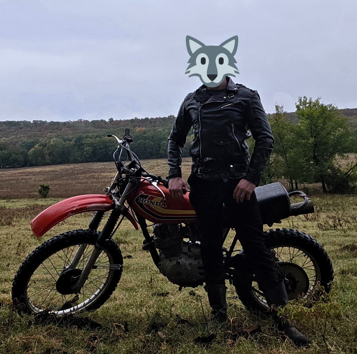 I got me a bike 🐺