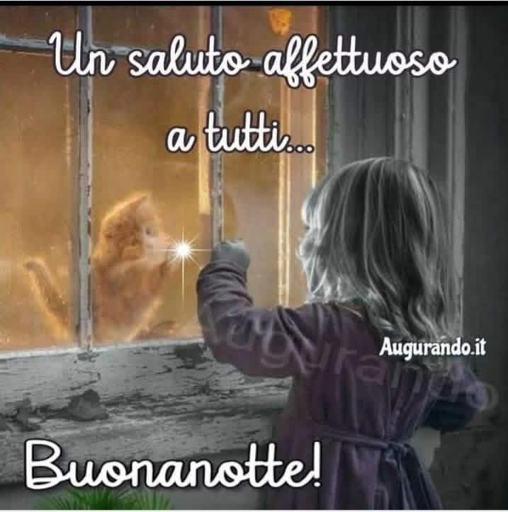 RITABIANCHi56 tweet media