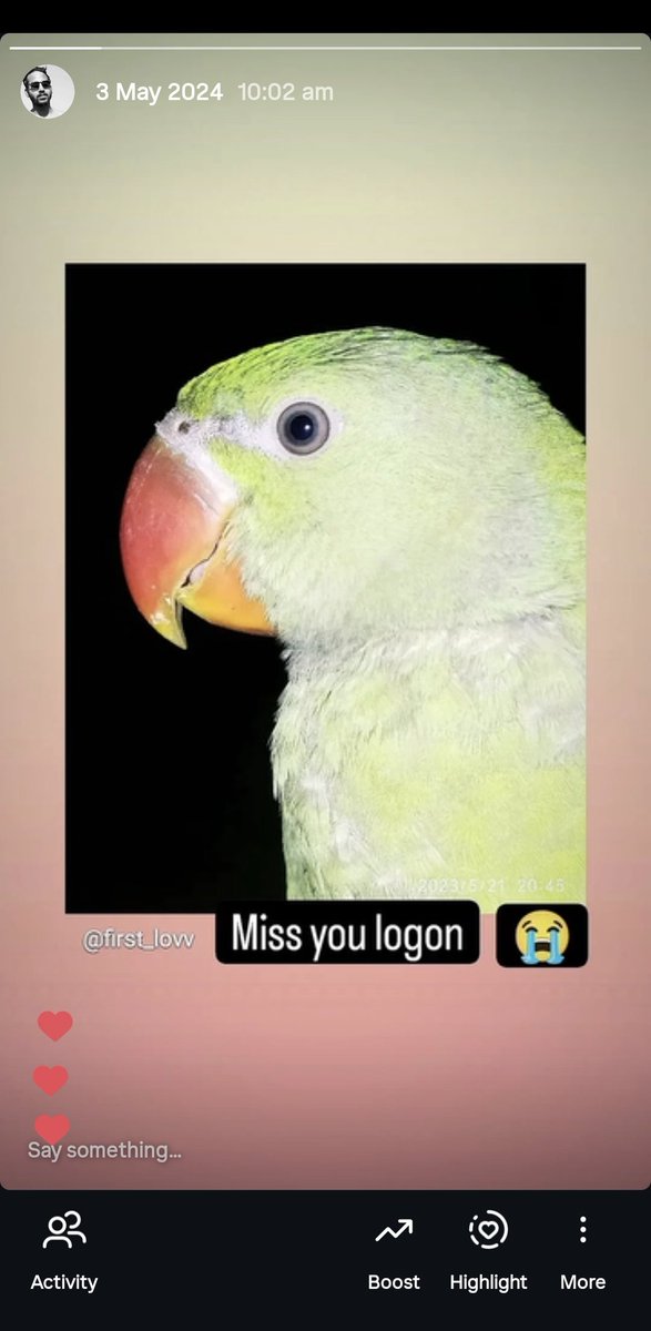 amitrakesh3's tweet image. I once saved a parrot from drowning in a pond, and from that day he stayed with me. He trusted me,ate from my hands, talked to me,and became a part of my life. One day a cat attacked him and despite all my efforts, I could not save him.This coin is a tribute to his memory
#Logon