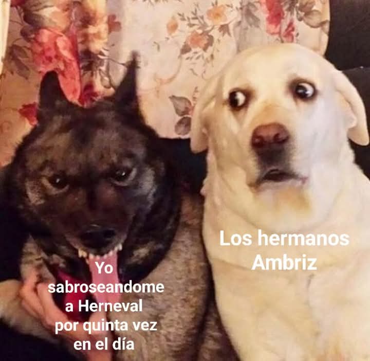 korabebe's tweet image. Que me perdonen por mis acciones y pensamientos pecadores cuando veo a nuestro tecolote. 

#SoyFrankelda #Frankelda #Herneval