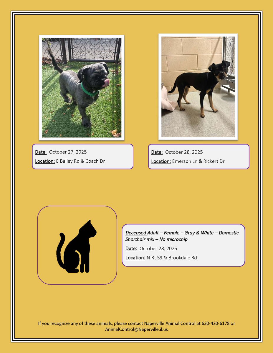 We know we just posted a flyer earlier this week, but Animal Control already has several more pets they're trying to reunite with their owners. If you know where one belongs, please call 630-420-6178.