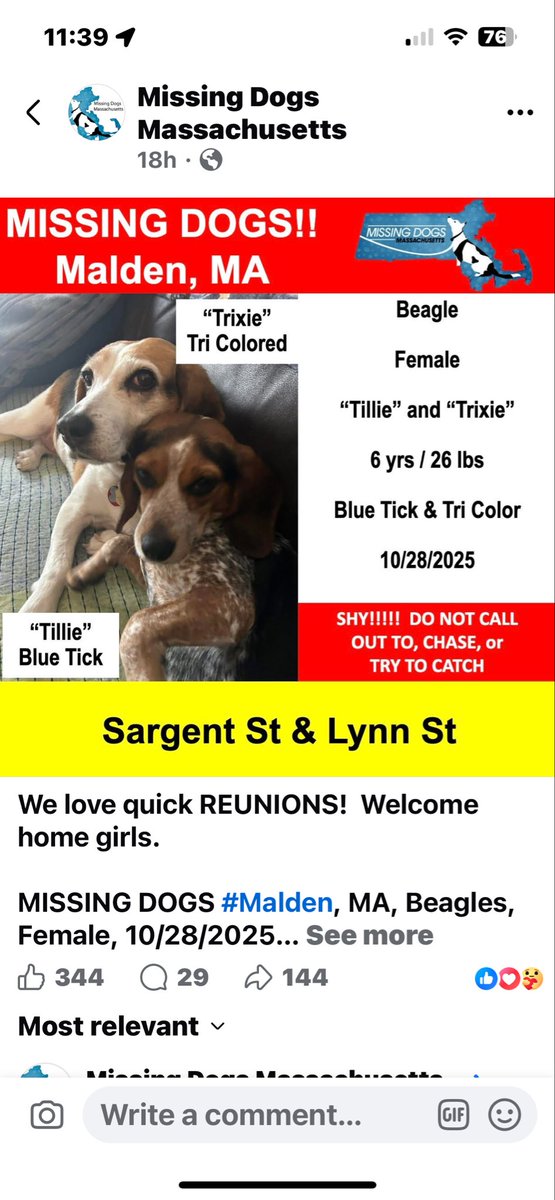 TwoBeags's tweet image. Hi pals . We made da wanted poster yesterday . We escaped and had a 41/2 hour adventure in da cemetery behind our house. We hads a blast but  M and D not so much. Sqigggiiiies everywhere. We home now resting . Fanks and sorry to all our neighbors who helped.