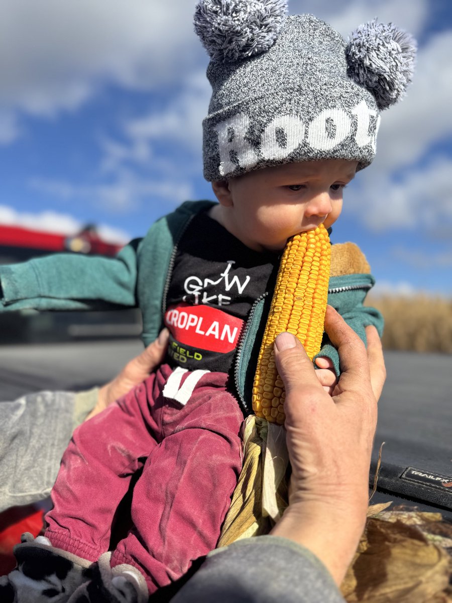 KaitlandVSpek's tweet photo. Our little one’s first grain corn plot 🔥🌽
🥇CP3575VT2P at 286.6bu/ac (23%)
🥈CP3980VT2P at 281.3 bu/ac (27%)
🥉CP4188VT2P at 272.8bu/ac (30%)
🎖️CP3790VT2P at 272.0bu/ac (29%)
#HeavyCorn #CROPLAN #OntAg #WinfieldUnitedCanada #AllSmiles https://t.co/a3vdCnh1VR