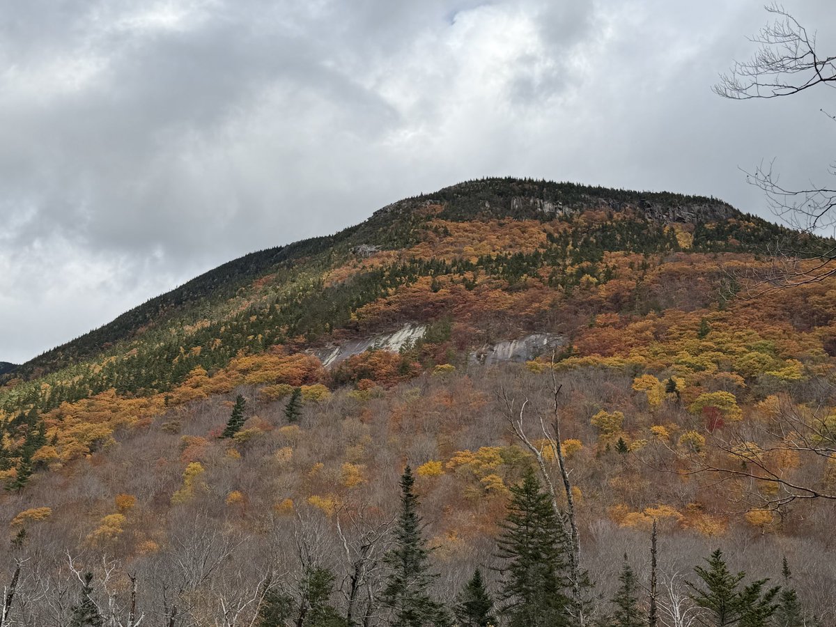 XPLRGoPro420's tweet photo. Up in the Northern Mountains https://t.co/re3lvqkYgp