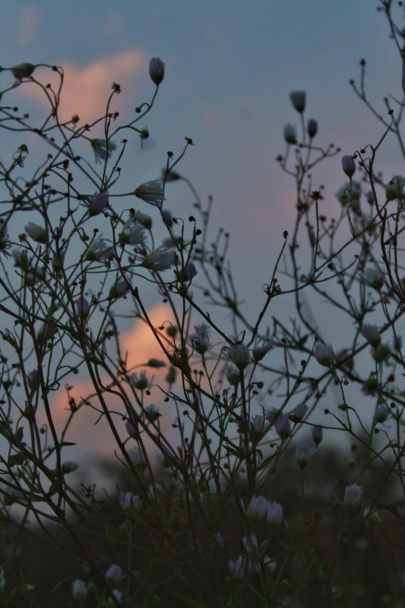 Like a heartbeat... 🖤