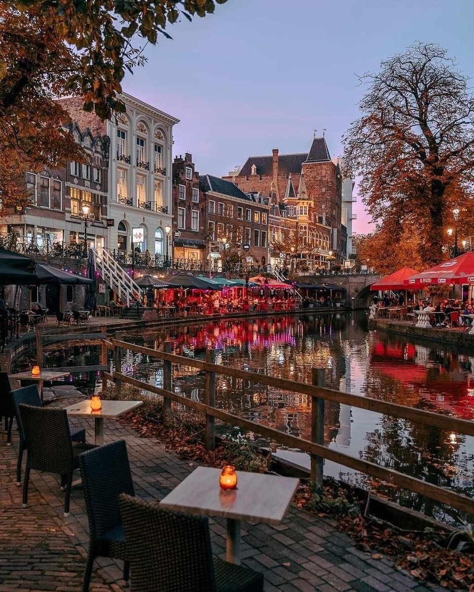 The American mind cannot comprehend this