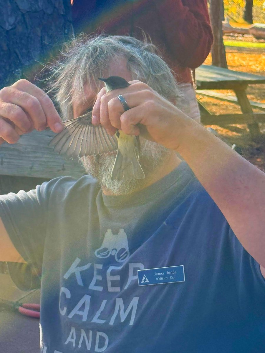 Last week individuals in our Day Program had an unforgettable experience at Wellfleet Bay Wildlife Sanctuary, where they learned about bird species, migration, and conservation — and even got the opportunity to help release several birds back into the bird sanctuary!
