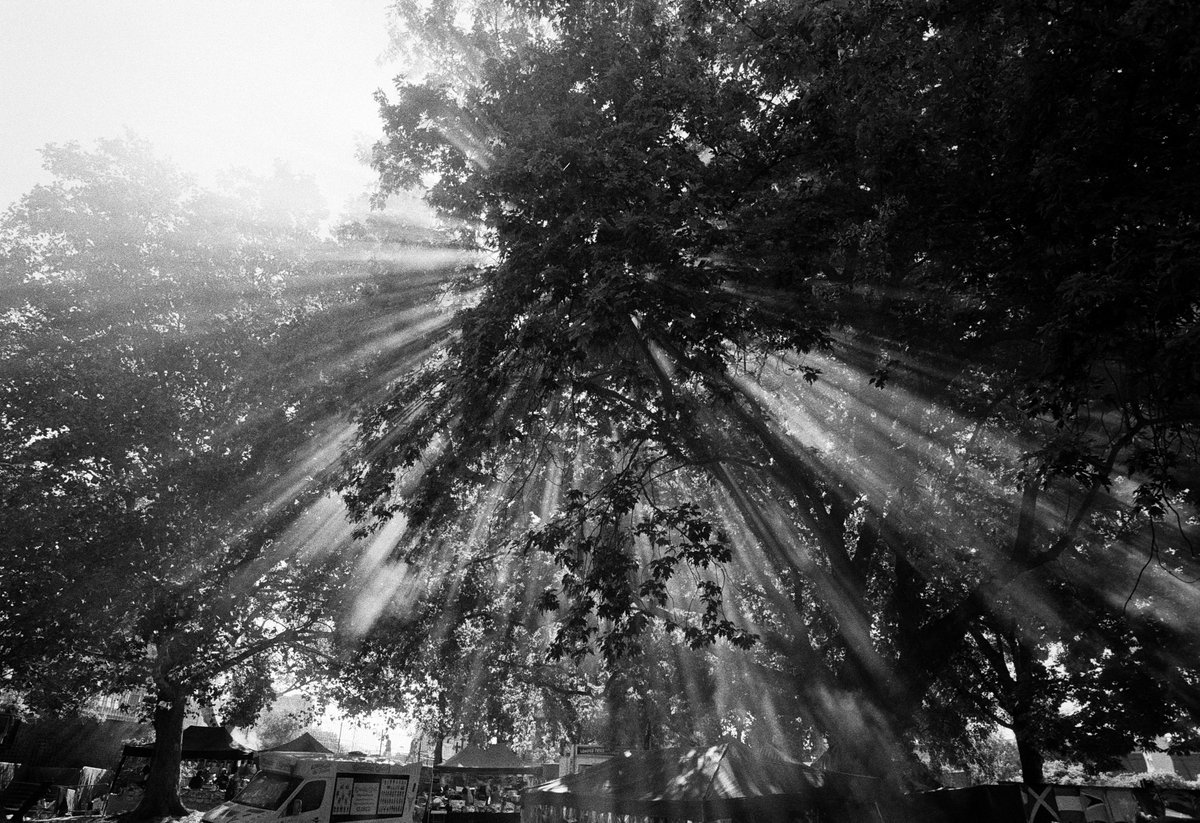 deviisway's tweet image. London,
August 2025